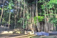 Pura Gunung Pengsong