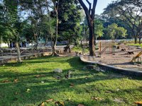 Bumi Perkemahan Kota Mataram (buperma)