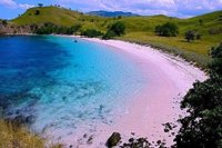Pantai Pink Lambu, Bima Ntb