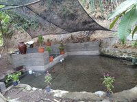 Manggong Desa Batukumbung, Lingsar Kab. Lombok Barat Ntb