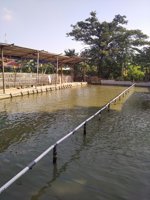 Pemancingan Galapung Aji