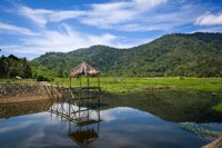 Taman Nasional Gunung Palung