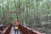 Mangrove Centre Graha Indah