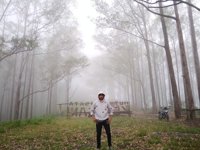 Hutan Pinus
