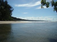 Pantai Seribu Cemara