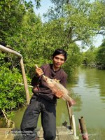 Bagan Muara Bang Rasim