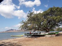 Wisata Pantai Kotajogo