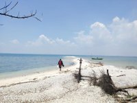 Pulau Gede