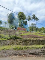 Agrowisata Kelurahan Loto