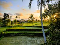 Desa Kokokan