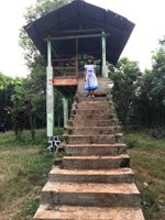 Alas Karet Polokarto