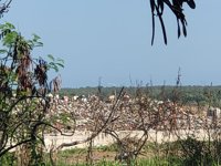 Taman Bukit Suwung Hill Park