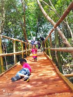 Ekowisata Mangrove Pengarengan