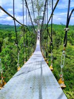 (sangkima Jungle Park) Taman Nasional Kutai