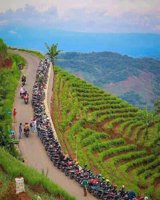 Jawara Wisata Pancing