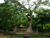 Sendang Surocolo Goa Sunan Mas