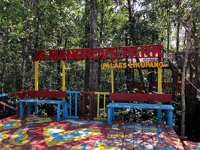 Jg Mangrove Park Desa Palaes