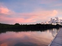 Jembatan Hutan Bakau Brongkendik