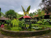 Bali Butterfly Park Tabanan