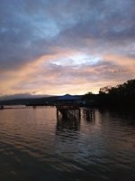 Wisata Mangrove Desa Waiheru