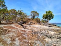 Wisata Alam Gua Monyet