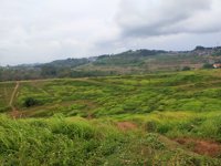 Bukit Teletubbies- Tembalang Semarang