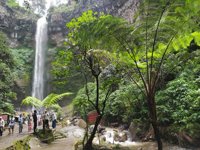 Air Terjun Coban Rondo Pujon