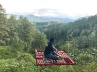 Bur Gayo Highland (tanoh Gayo)