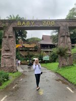 Taman Safari Zoo Ll Prigen