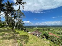 Rise Vil Karangasern