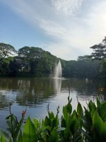 Kebun Bibit Wonorejo