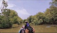 Hutan Mangrove Kali Ngguyangan