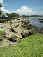 Pantai Pasir Putih Florida Indah Anyer