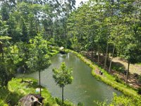 Wisata Kebun Kina Bukit Unggul