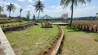 Cibalak Paddy Valle