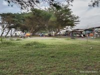 Pantai Mlarangan Asri