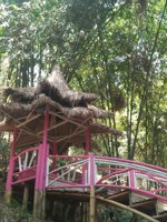 Wisata Dusun Bambu - Desa Wisata Sumogawe