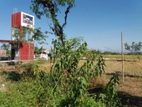 Tempuran Bengawan Solo - Kali Samin