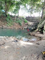 Wisata Alam Sumber Joho Park