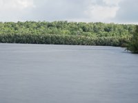 Tanjung Makimi