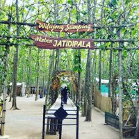 Wisata Kebon Jatidipala