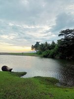 Gubeng, Pantai Patimoa