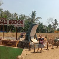 Kali Kodok