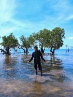 Hutan Mangrove Koja Besar