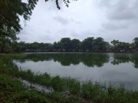 Pujasera Riftya Danau Asri