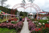 Tuan Nagani Paradise