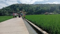 Nyawang Sawah, Cilégong - Purwakarta