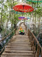 Pandang Tak Jemu ( Ekowisata Mangrove)