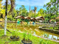 Air Terjun Pinang Seribu