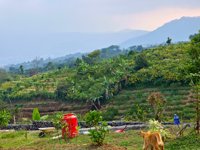 Puncak Balupug Dalas 89